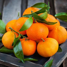 Load image into Gallery viewer, Clementine Tree