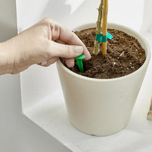 Load image into Gallery viewer, MiracleGro® House Plant Spikes