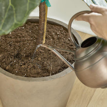 Load image into Gallery viewer, MiracleGro® House Plant Spikes