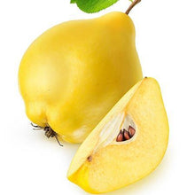 Load image into Gallery viewer, Van Deman Quince