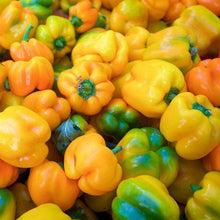 Load image into Gallery viewer, Organic Flavorburst Bell Pepper
