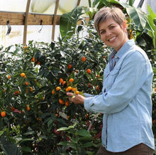 Load image into Gallery viewer, Nagami Kumquat Tree
