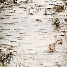 Load image into Gallery viewer, White Birch Tree

